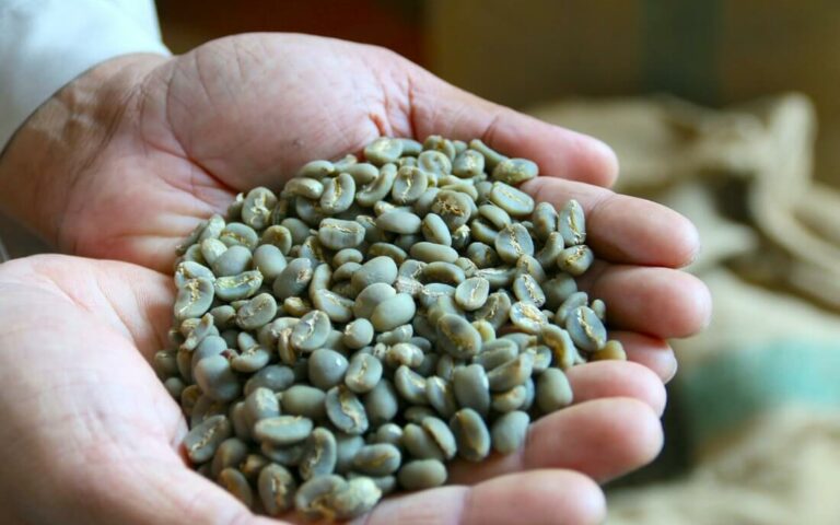A Taste of Sumatra