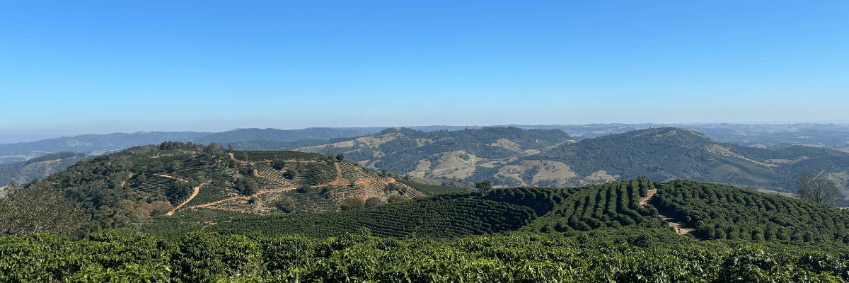 Landscape of Palmital during our Origin Trip to Brazil